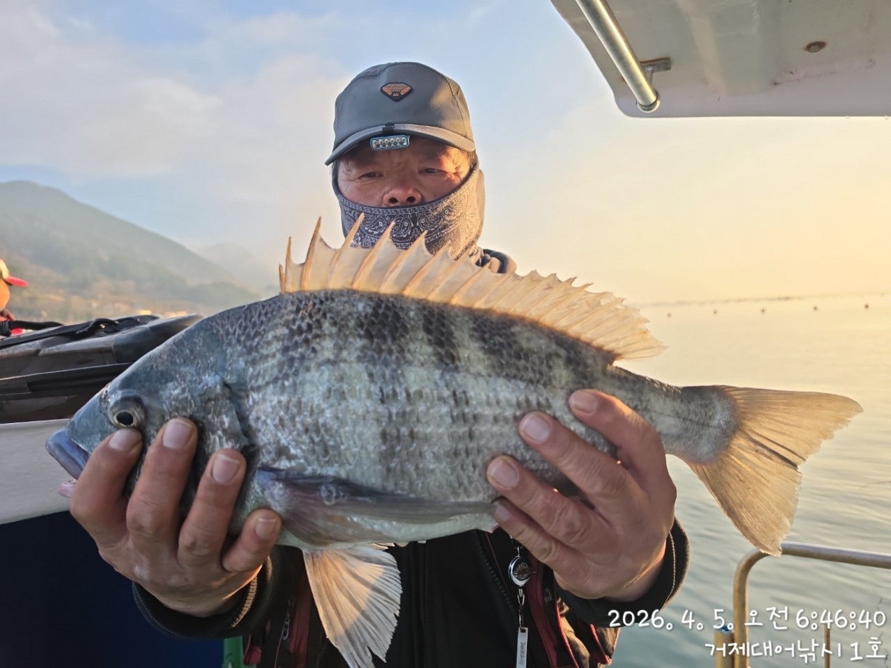 ����ڰ� �ø� �̹���