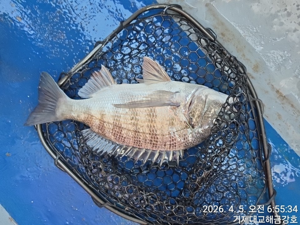 ����ڰ� �ø� �̹���