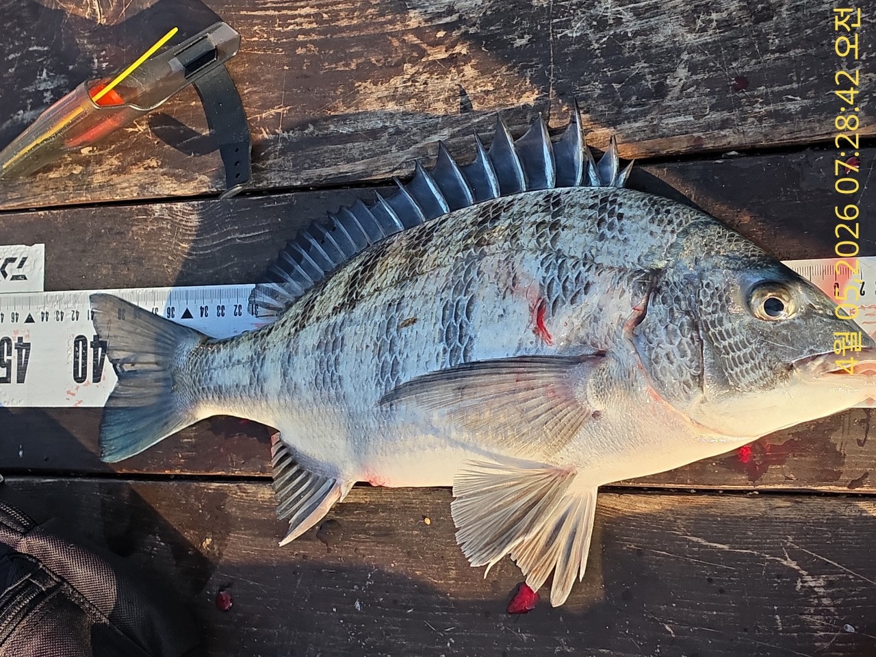 ����ڰ� �ø� �̹���