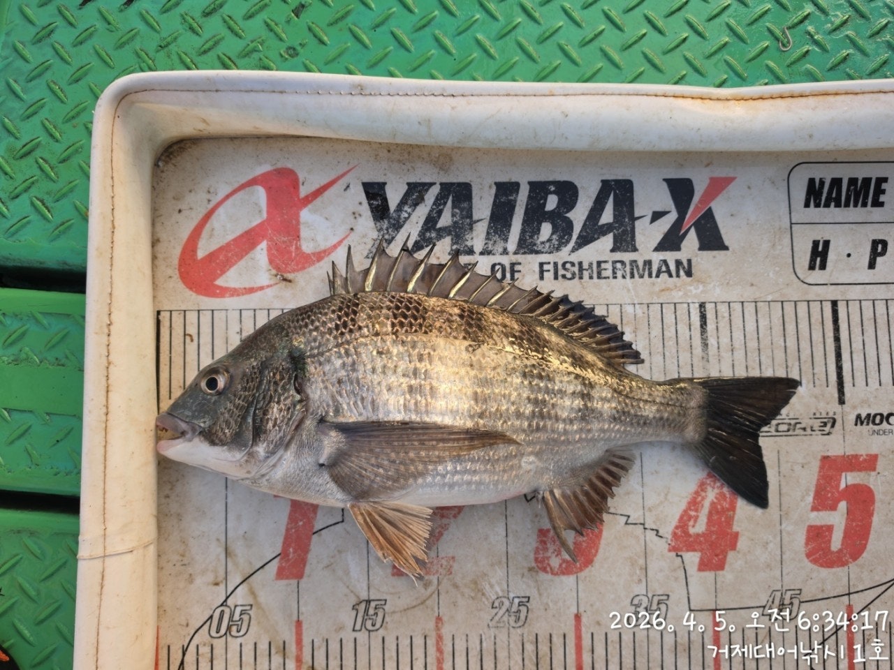 ����ڰ� �ø� �̹���