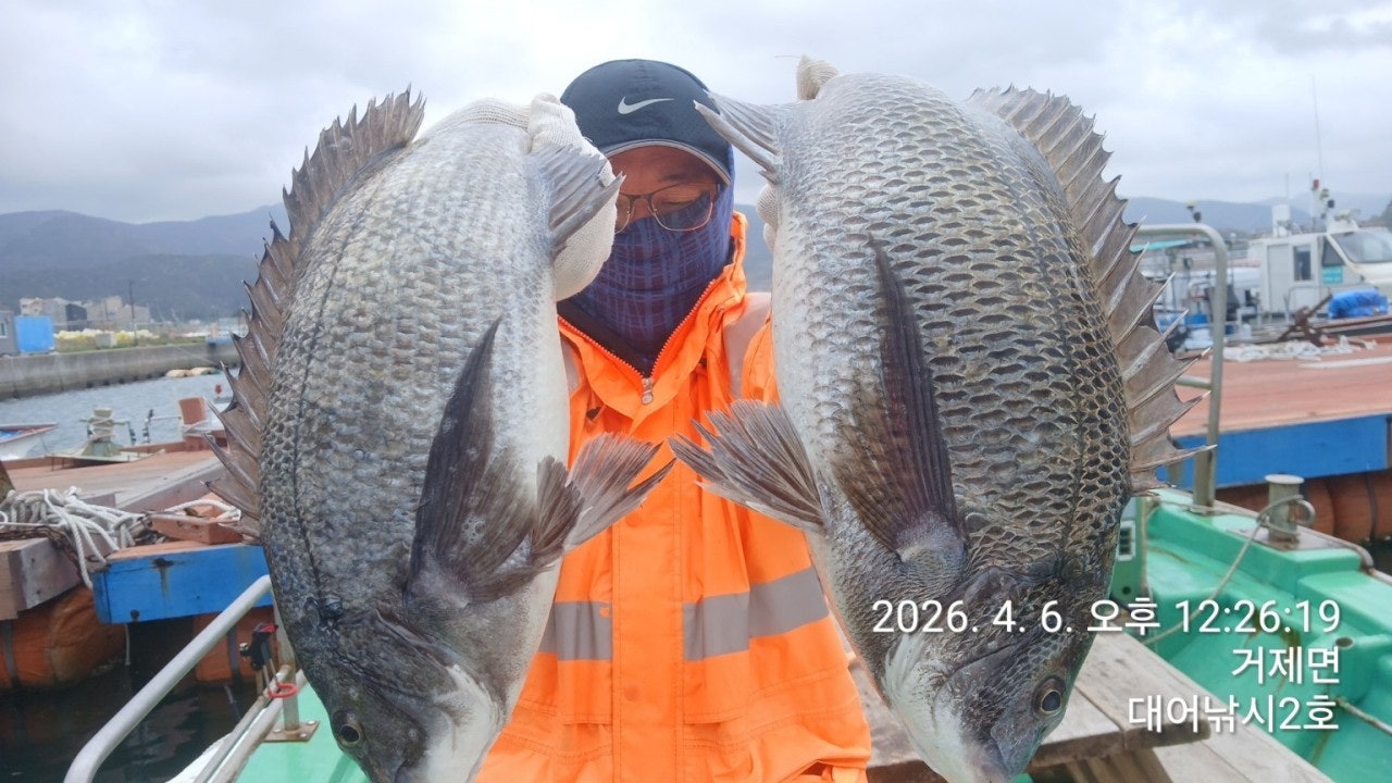 ����ڰ� �ø� �̹���