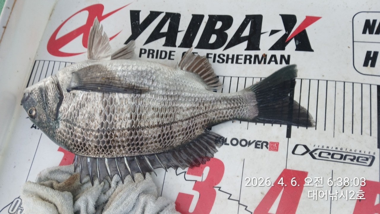 ����ڰ� �ø� �̹���