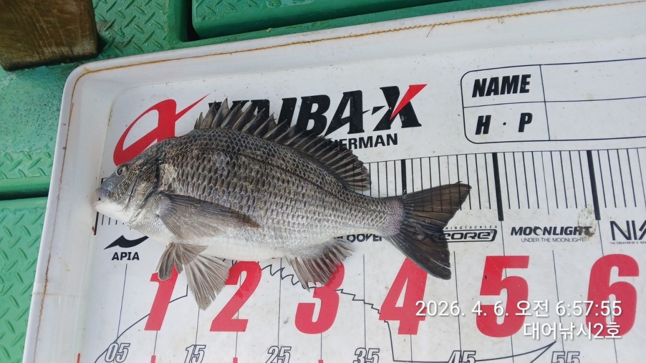 ����ڰ� �ø� �̹���