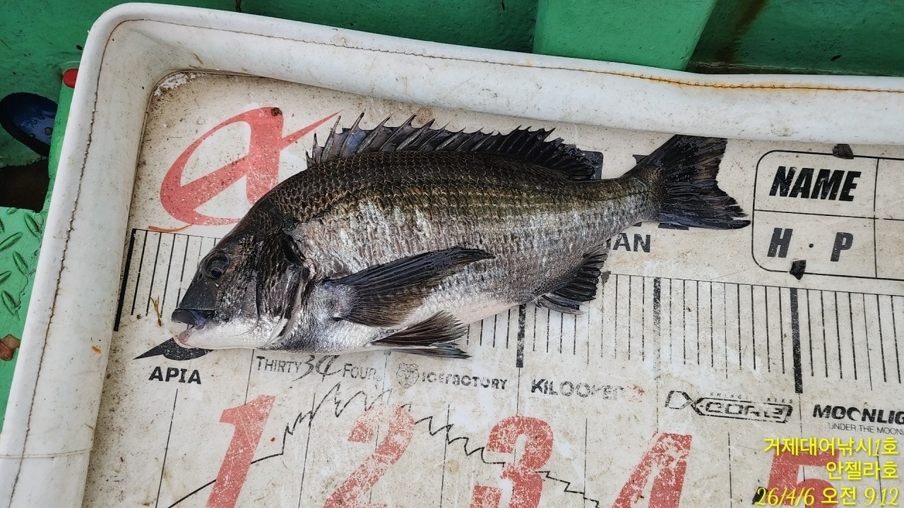 ����ڰ� �ø� �̹���