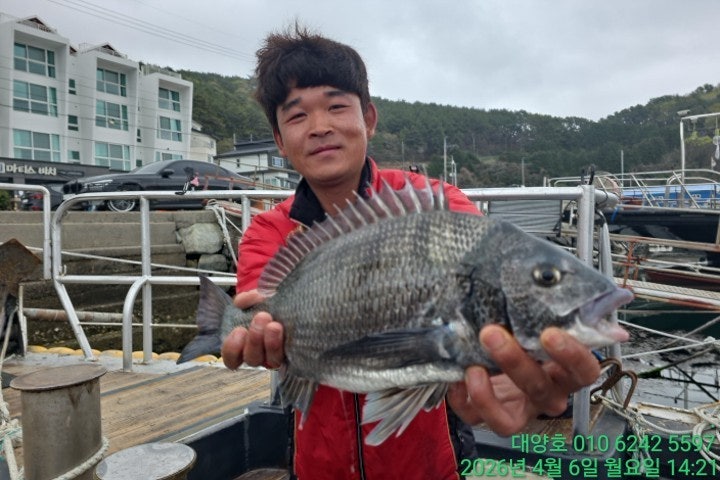 ����ڰ� �ø� �̹���