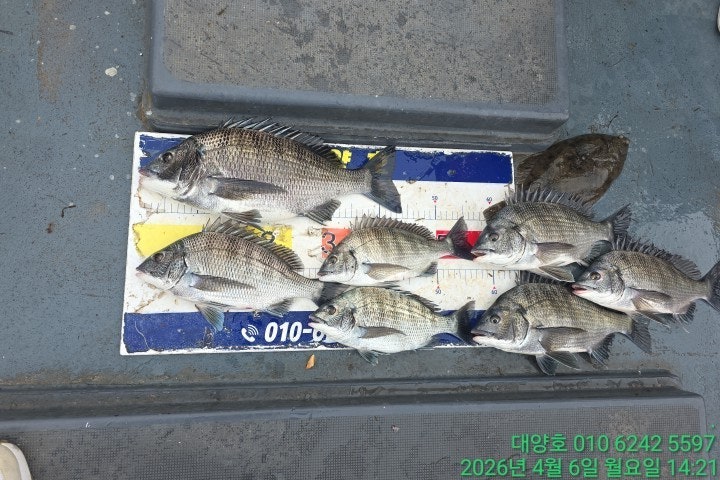 ����ڰ� �ø� �̹���