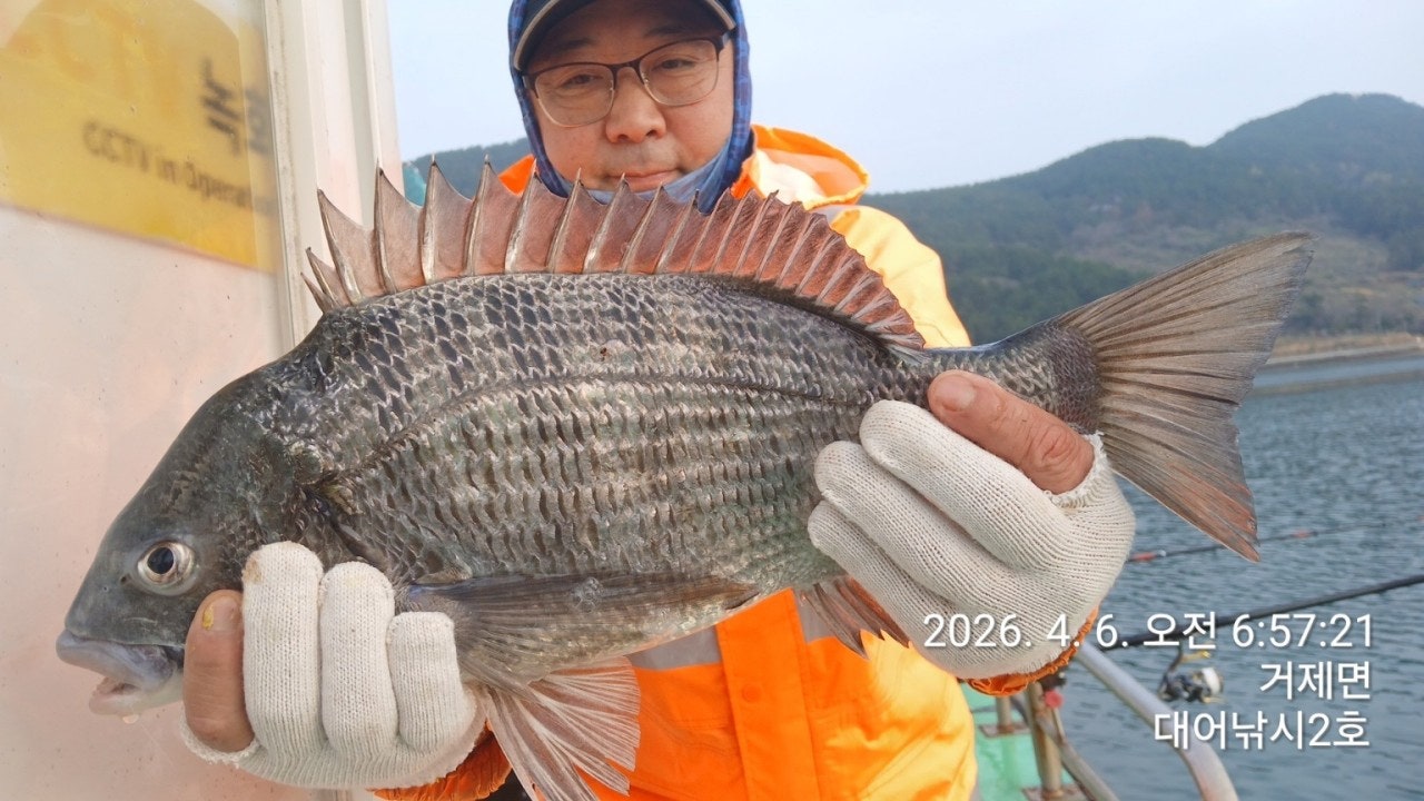 ����ڰ� �ø� �̹���