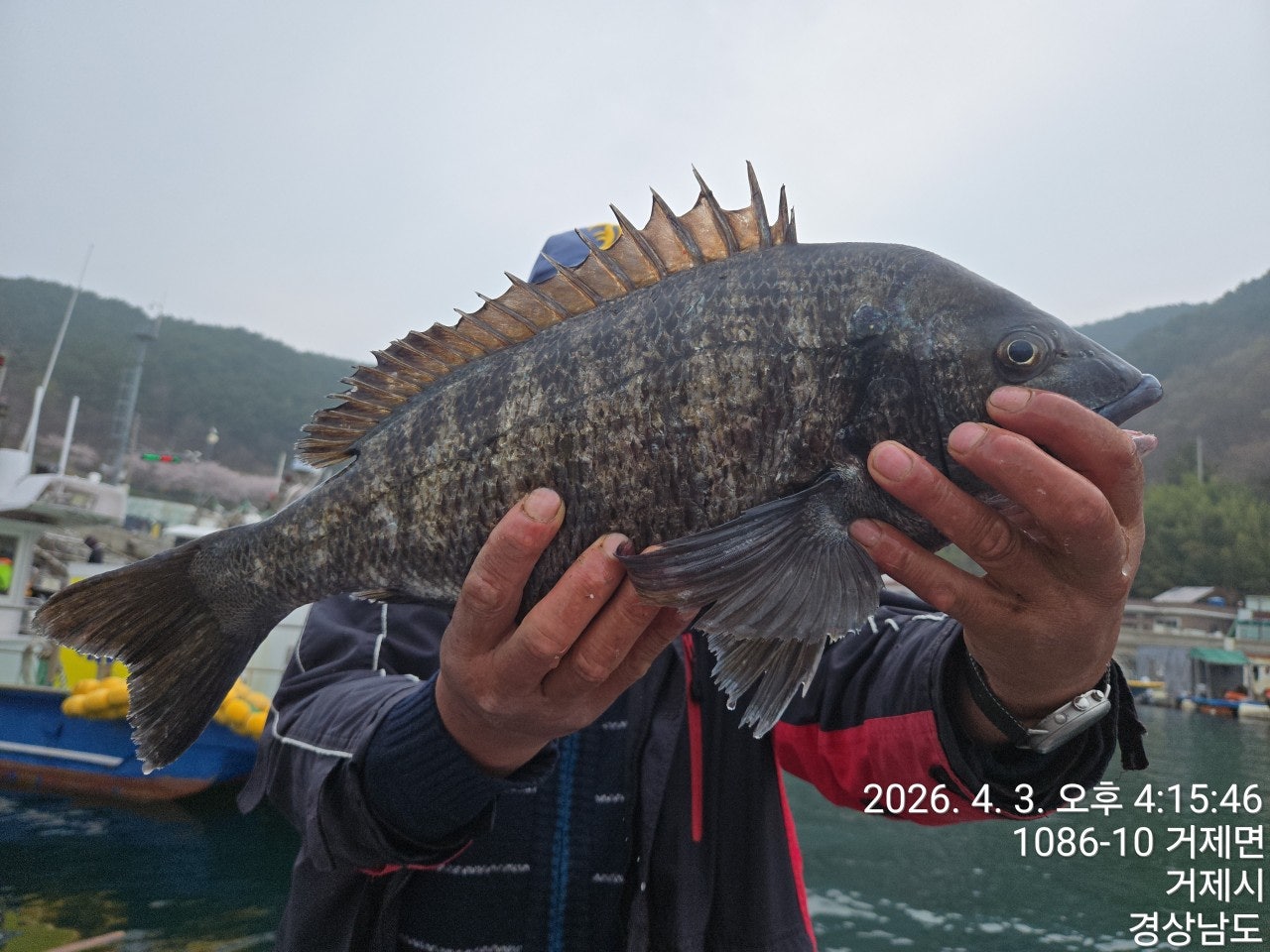 ����ڰ� �ø� �̹���