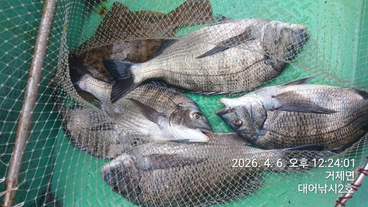 ����ڰ� �ø� �̹���