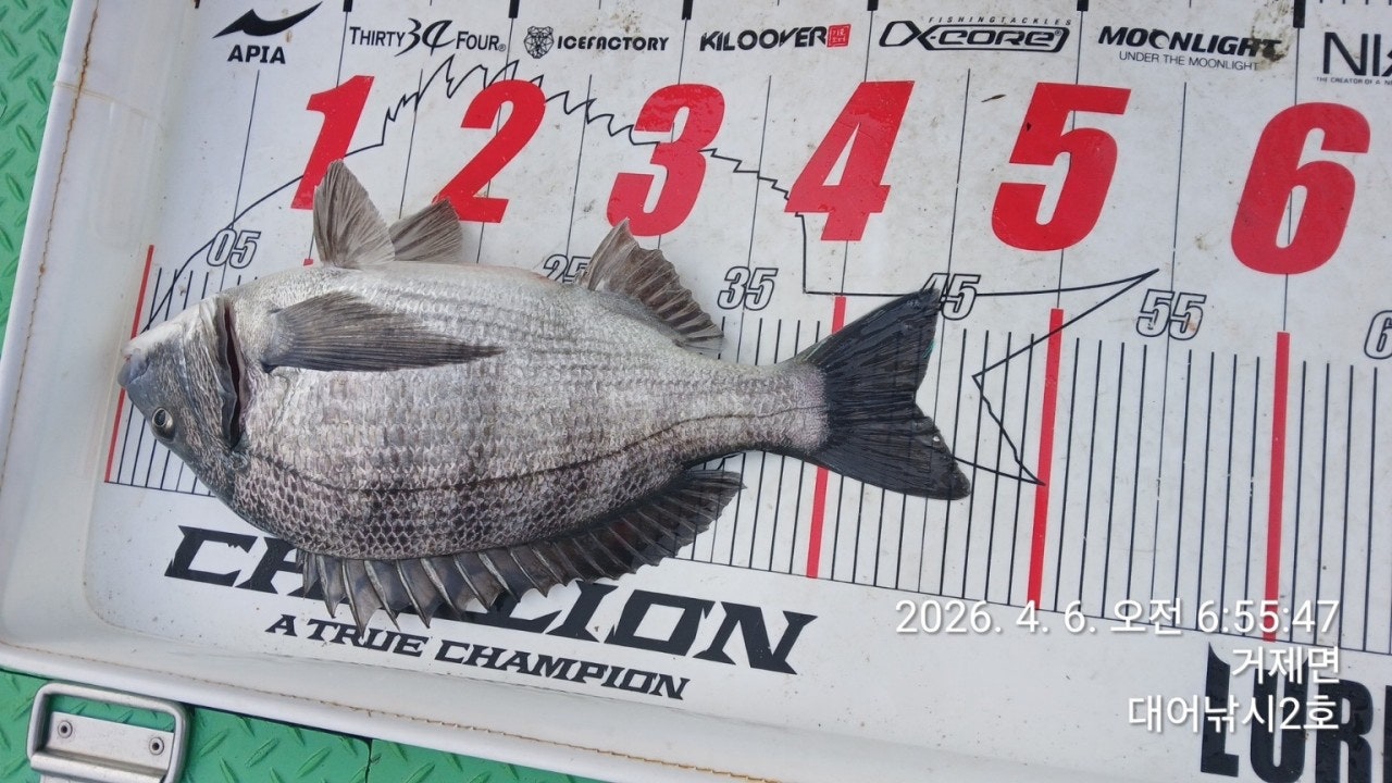 ����ڰ� �ø� �̹���