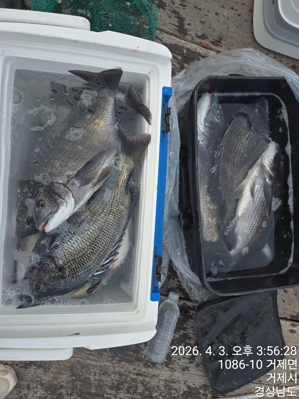 ����ڰ� �ø� �̹���