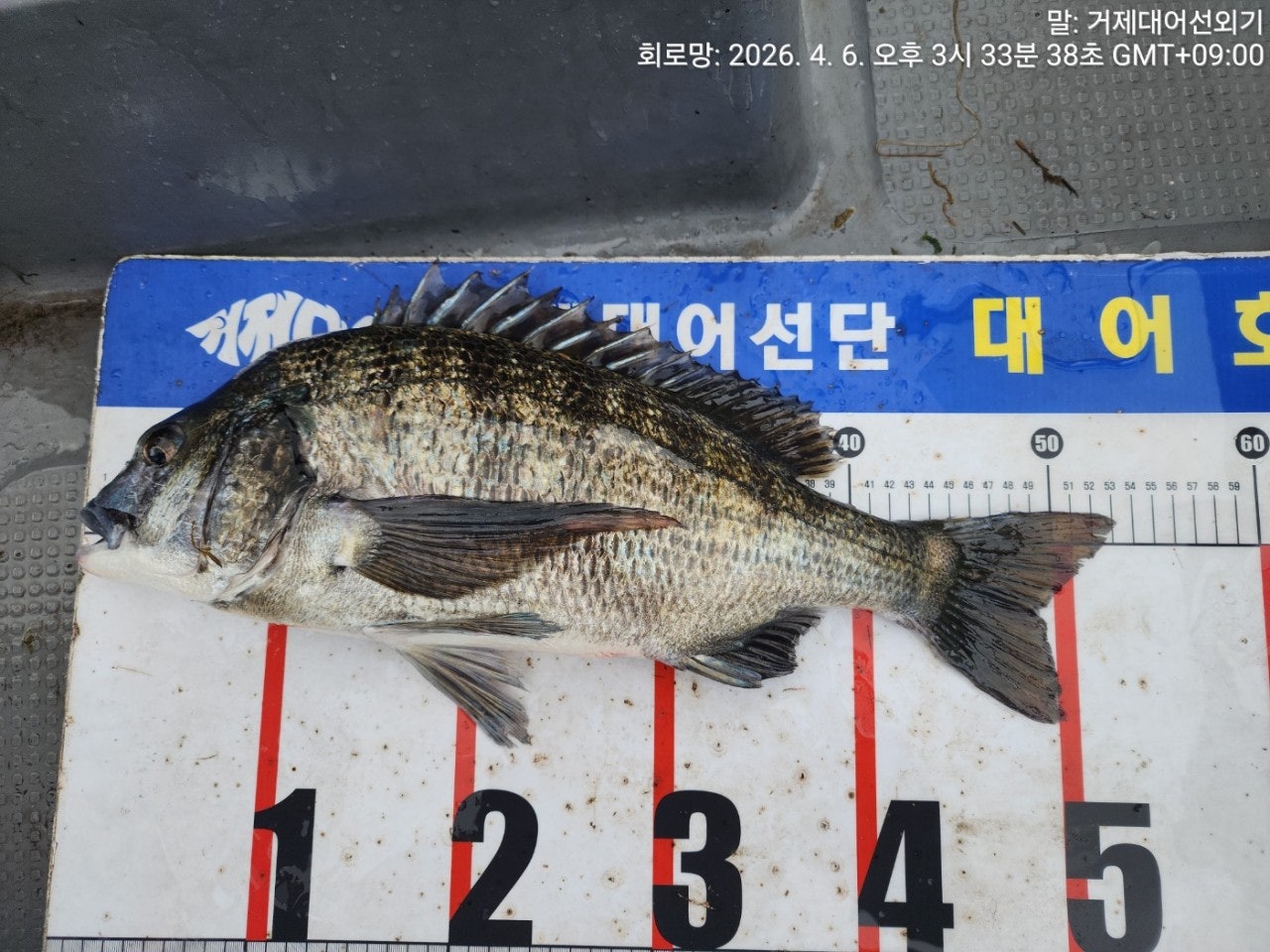 ����ڰ� �ø� �̹���