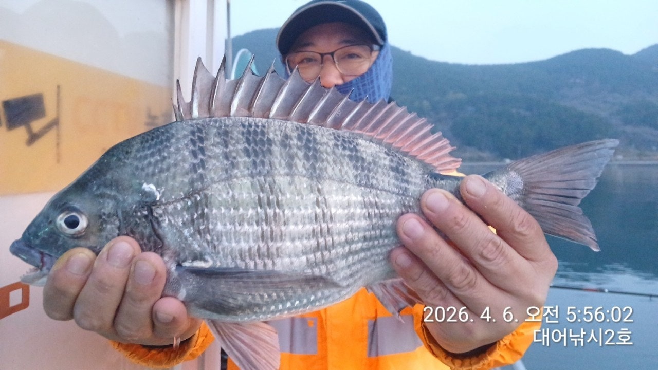 ����ڰ� �ø� �̹���