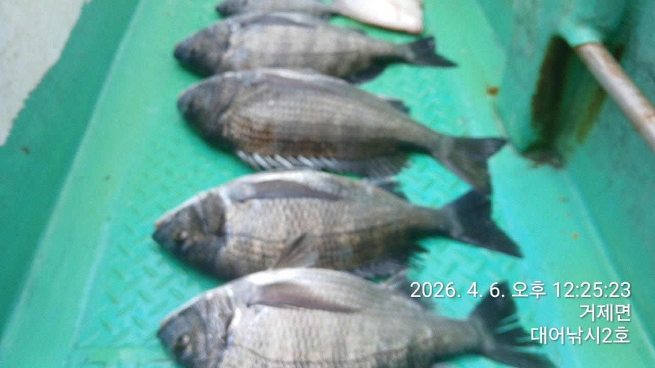 ����ڰ� �ø� �̹���