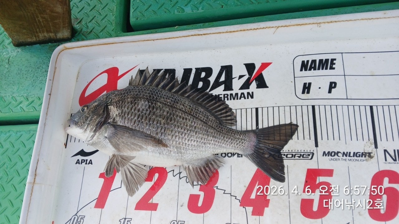 ����ڰ� �ø� �̹���