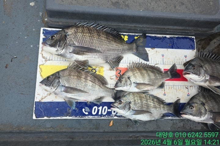 ����ڰ� �ø� �̹���