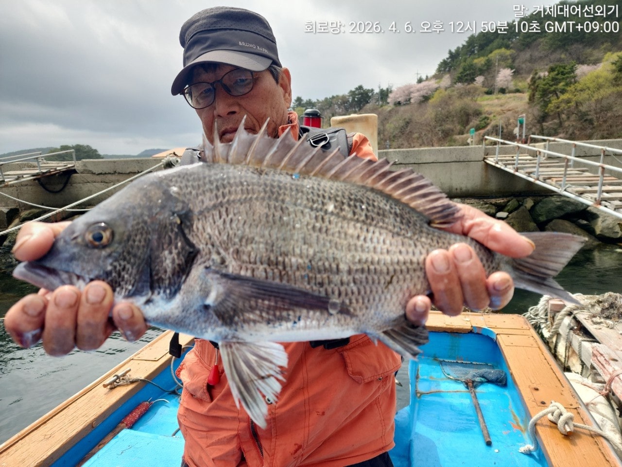 ����ڰ� �ø� �̹���