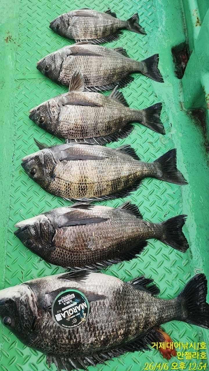 ����ڰ� �ø� �̹���