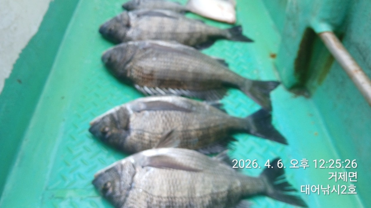 ����ڰ� �ø� �̹���