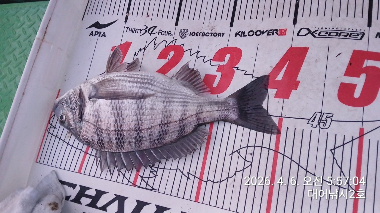 ����ڰ� �ø� �̹���