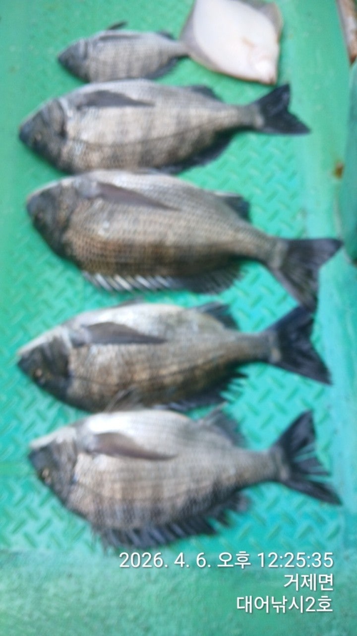 ����ڰ� �ø� �̹���