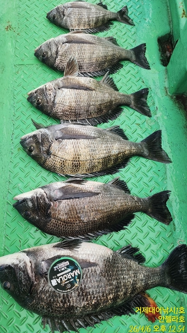 ����ڰ� �ø� �̹���