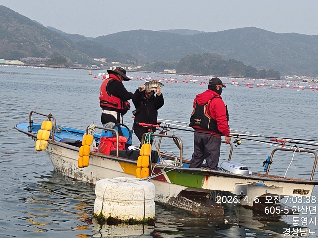 ����ڰ� �ø� �̹���