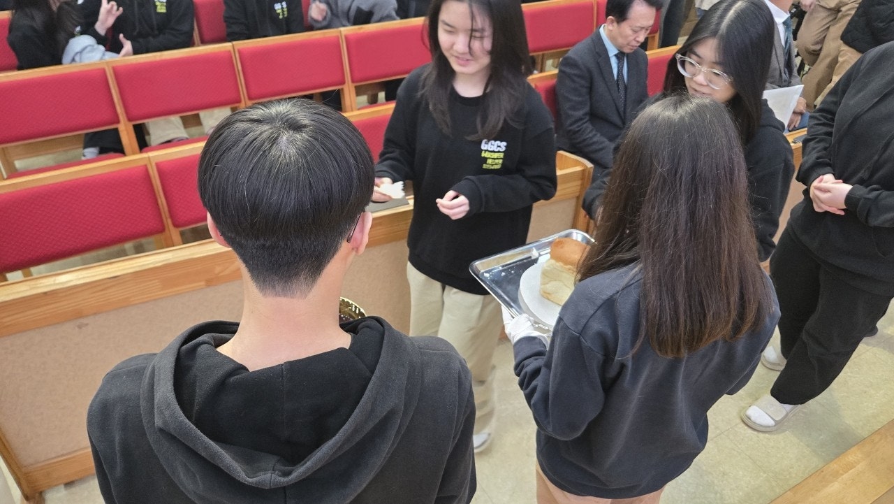 ����ڰ� �ø� �̹���