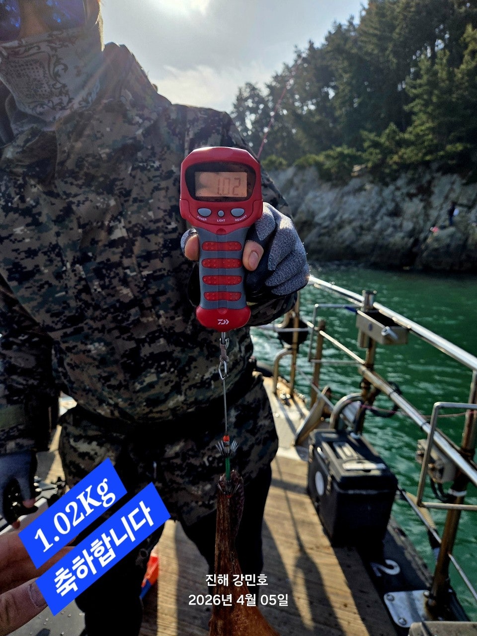 ����ڰ� �ø� �̹���