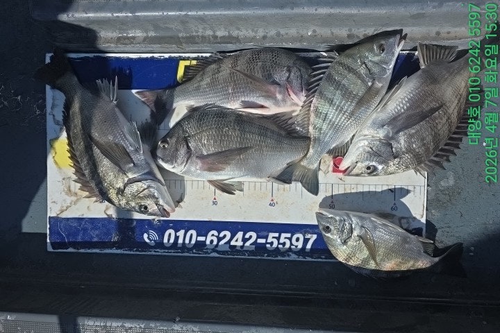 ����ڰ� �ø� �̹���