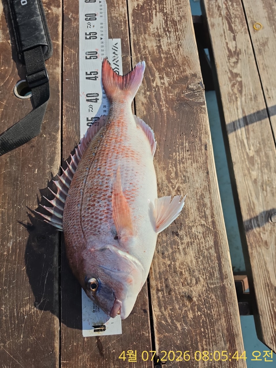 ����ڰ� �ø� �̹���