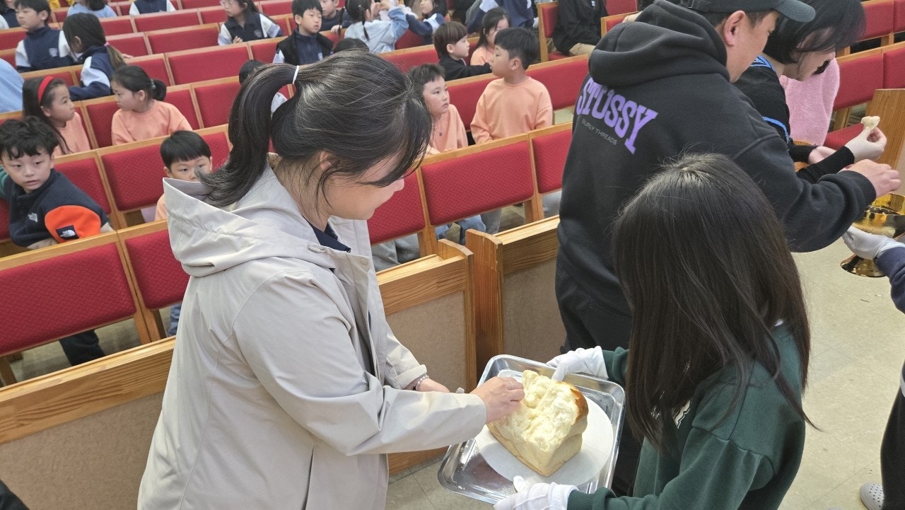 ����ڰ� �ø� �̹���