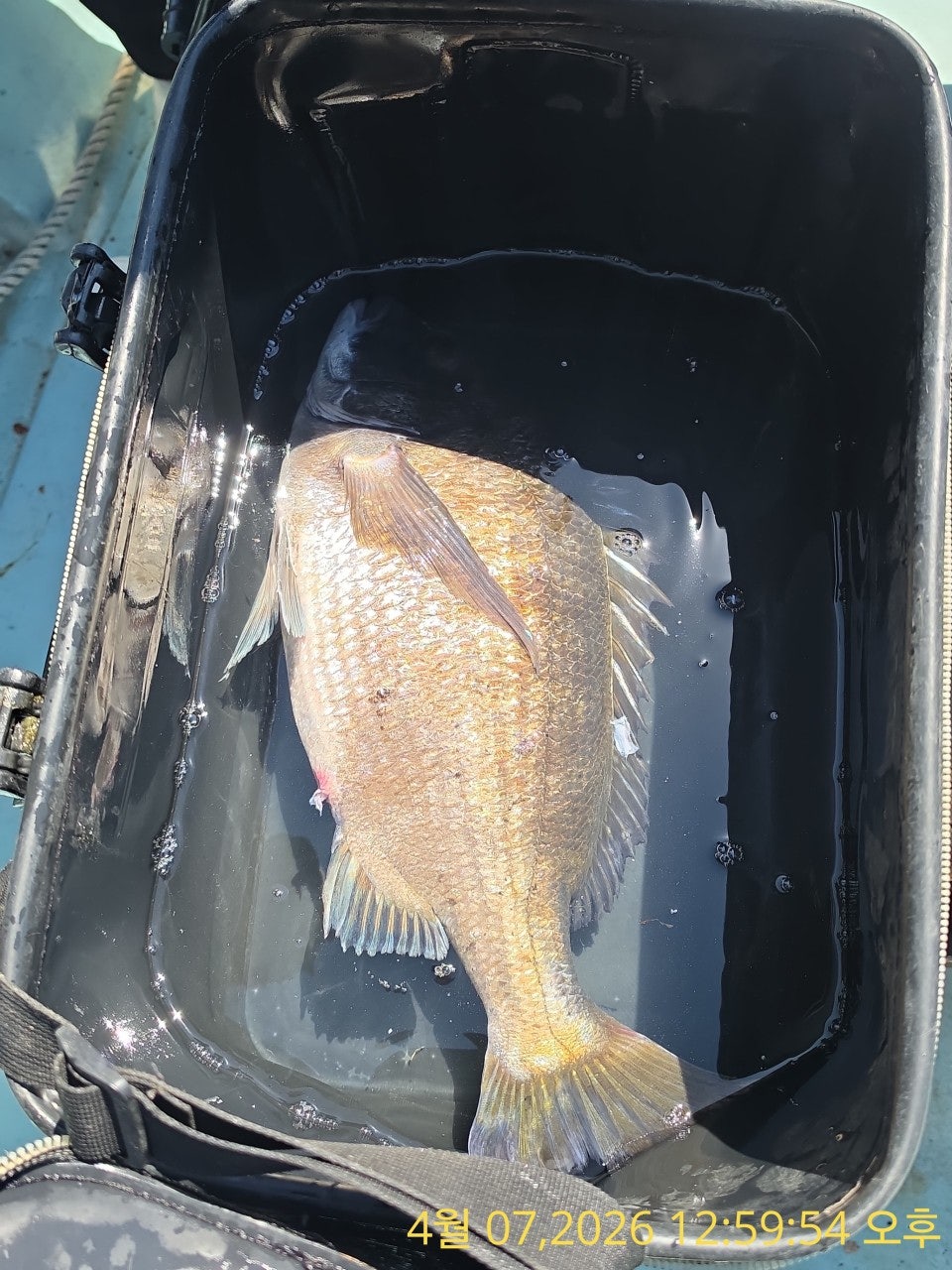 ����ڰ� �ø� �̹���