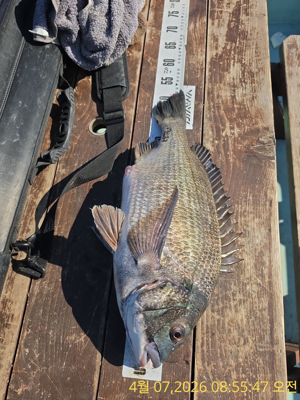 ����ڰ� �ø� �̹���