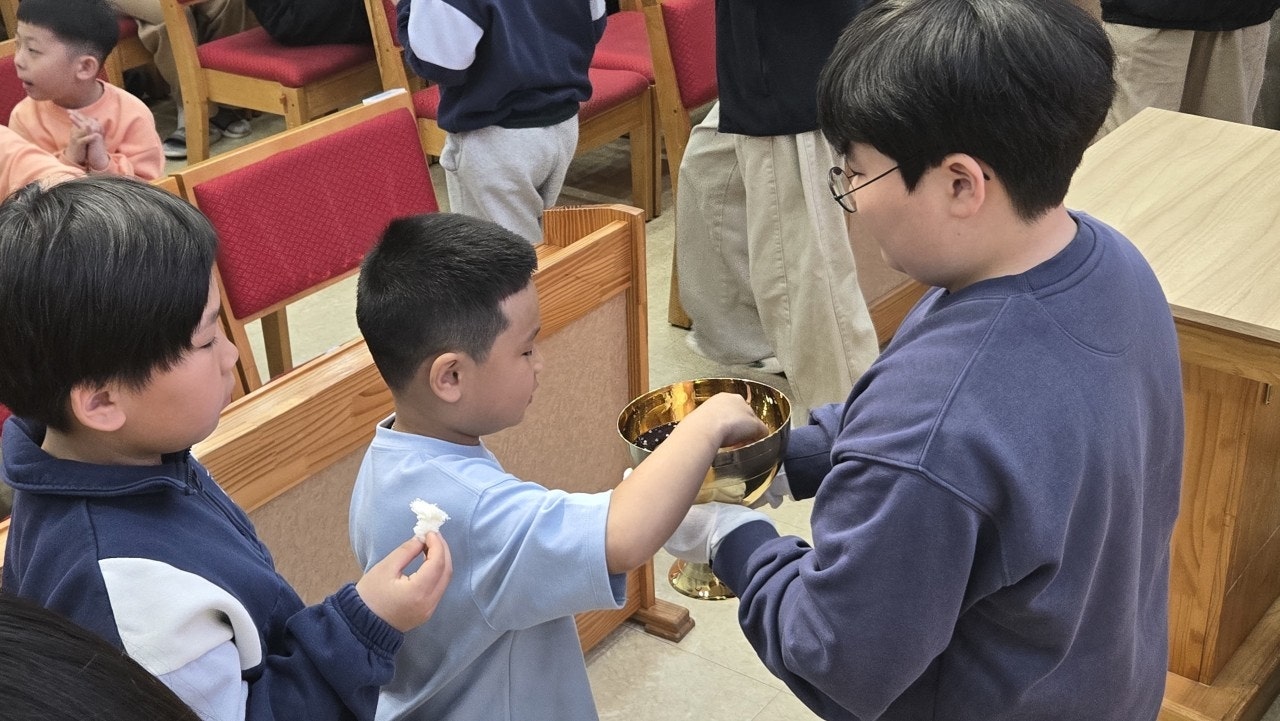 ����ڰ� �ø� �̹���