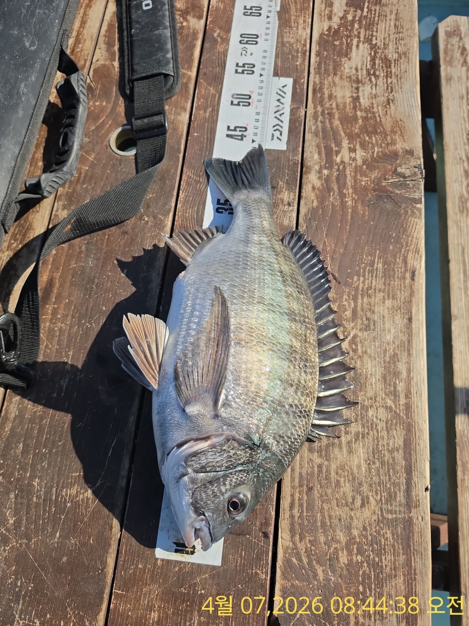 ����ڰ� �ø� �̹���