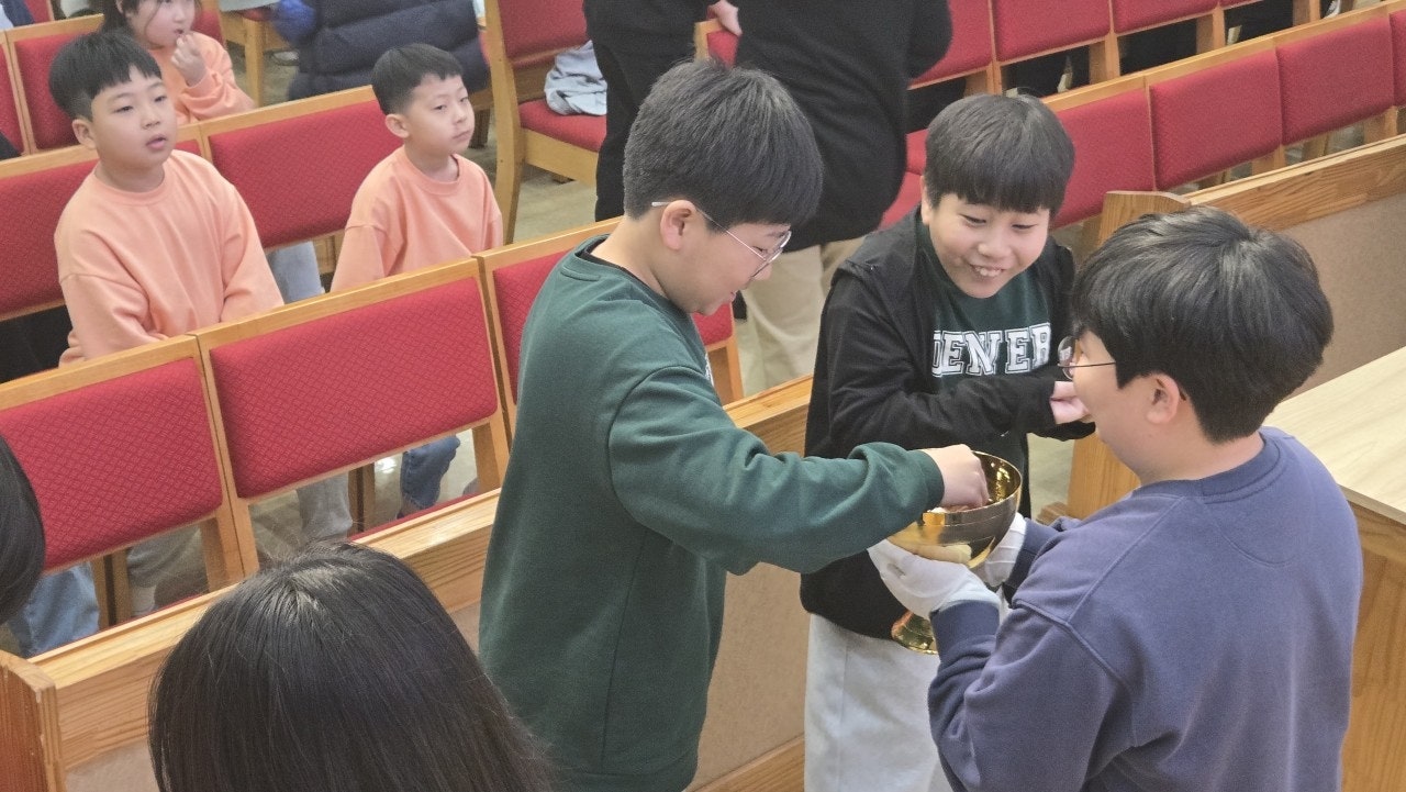 ����ڰ� �ø� �̹���