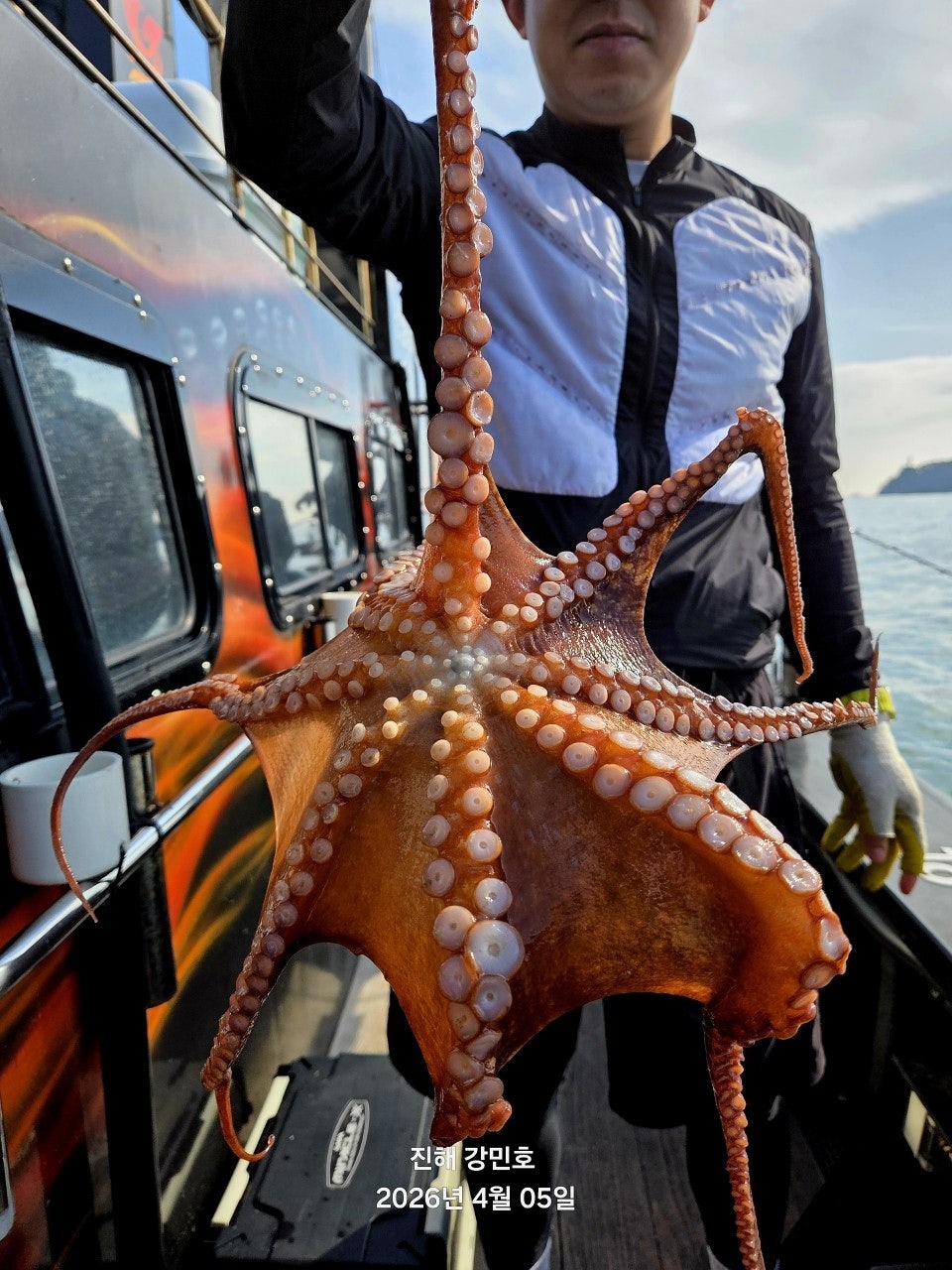 ����ڰ� �ø� �̹���