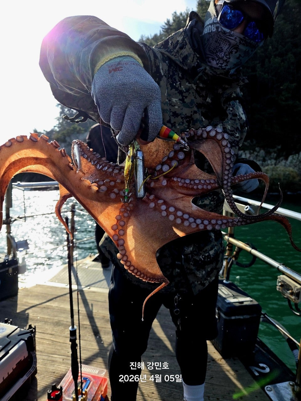 ����ڰ� �ø� �̹���