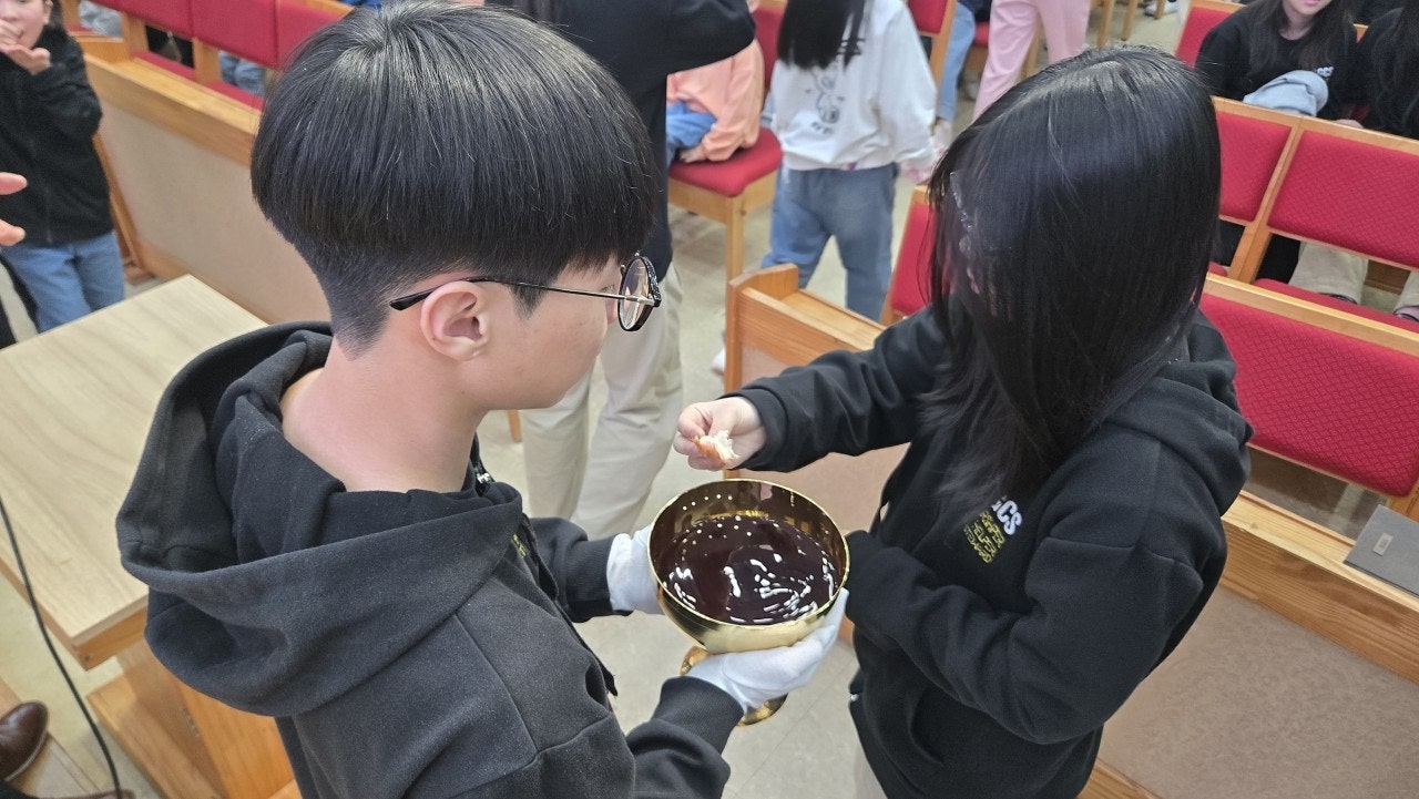 ����ڰ� �ø� �̹���