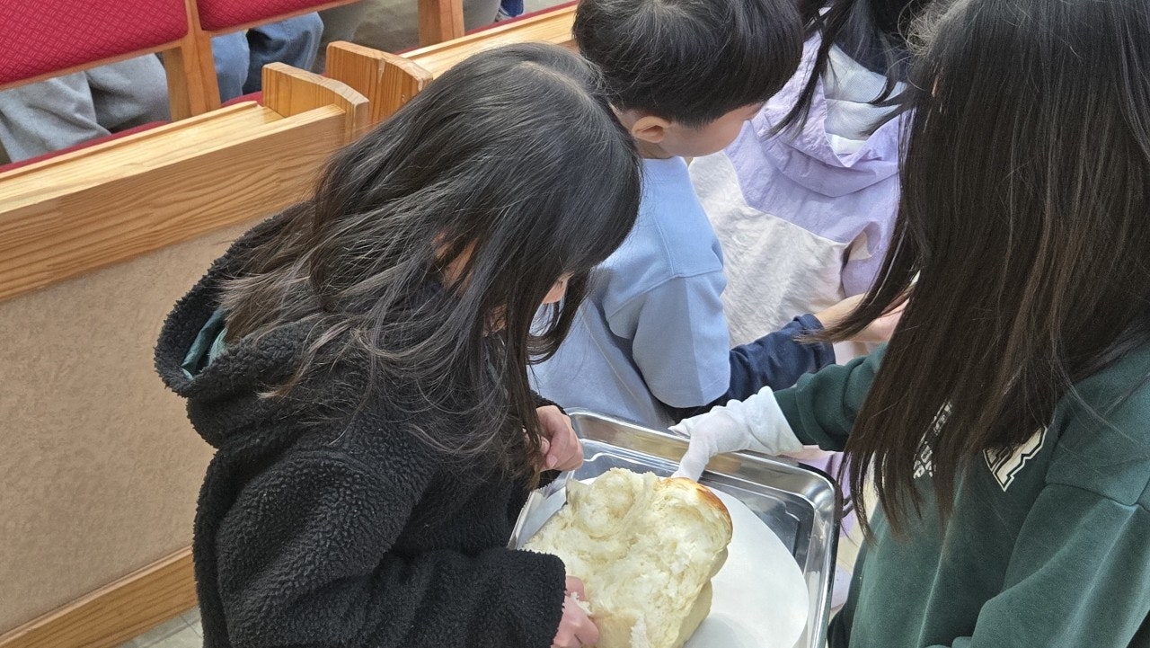 ����ڰ� �ø� �̹���