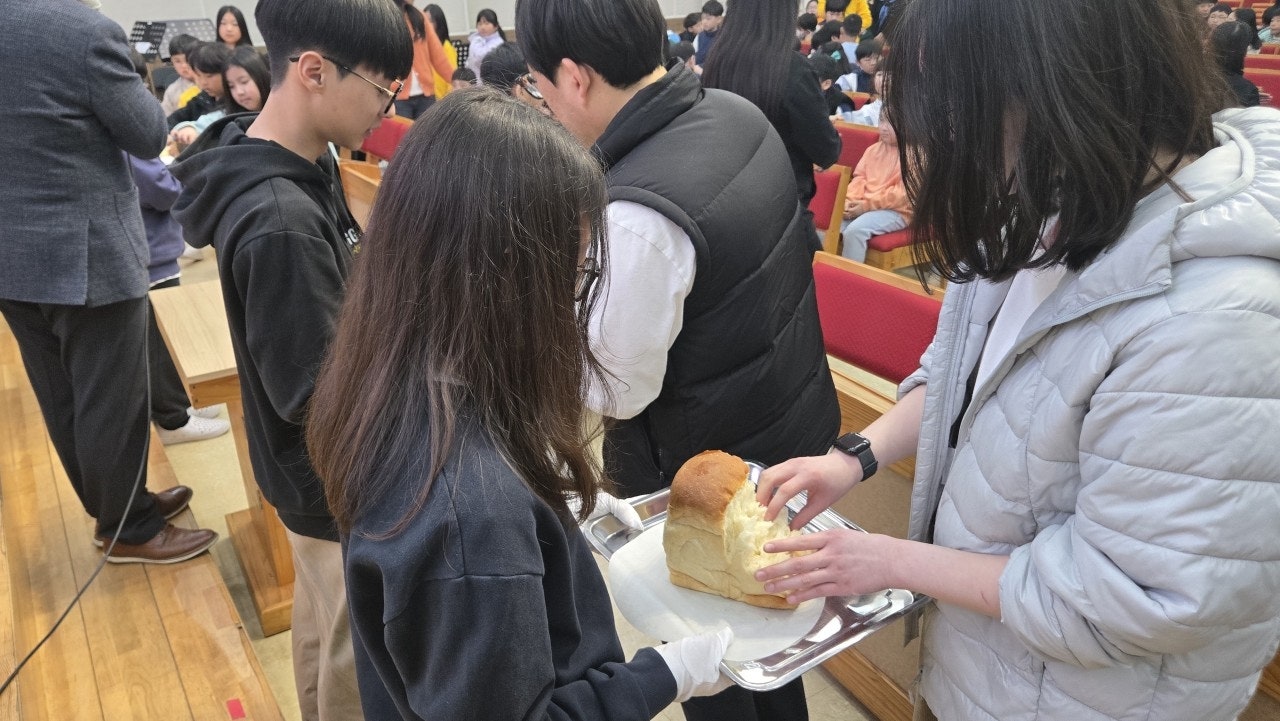 ����ڰ� �ø� �̹���