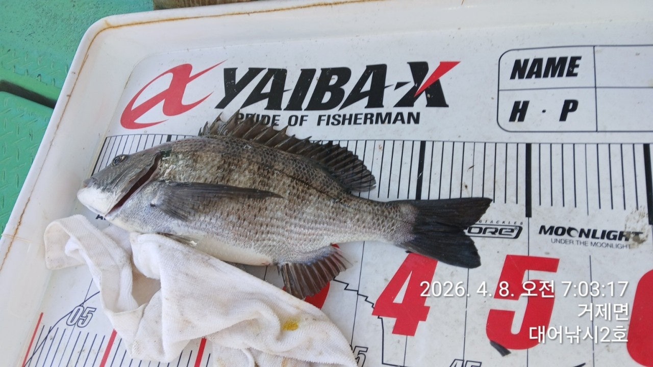 ����ڰ� �ø� �̹���