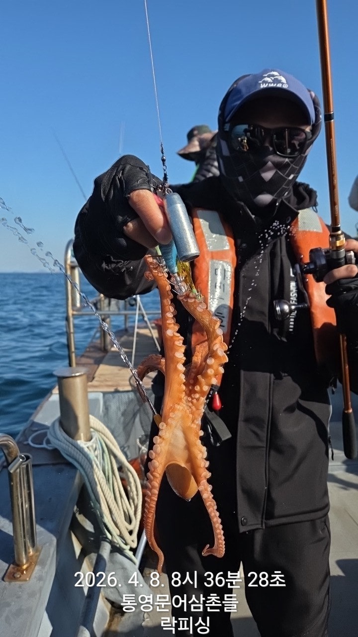 ����ڰ� �ø� �̹���