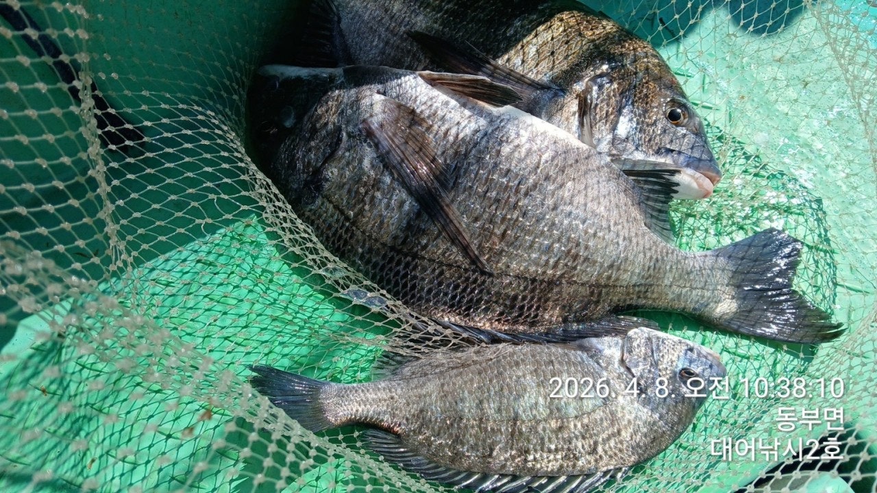 ����ڰ� �ø� �̹���