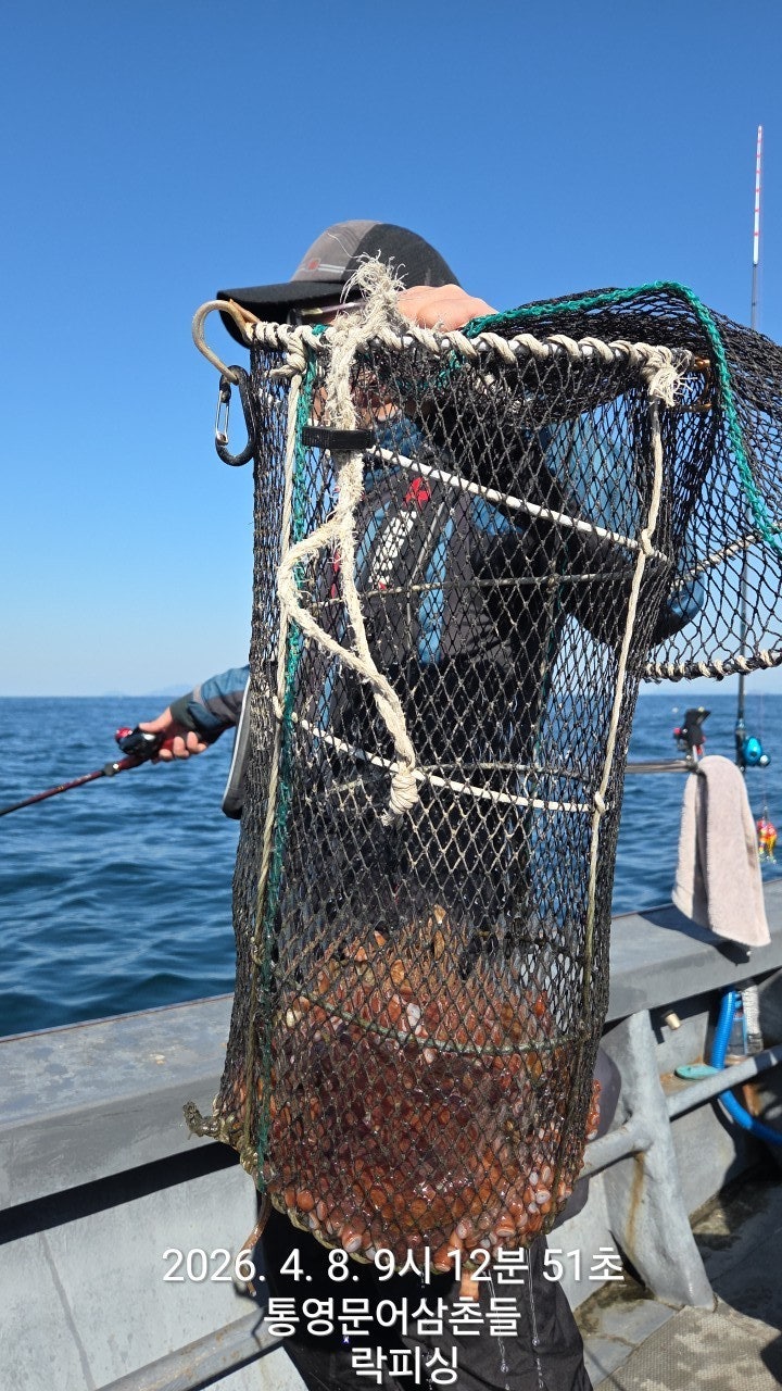 ����ڰ� �ø� �̹���