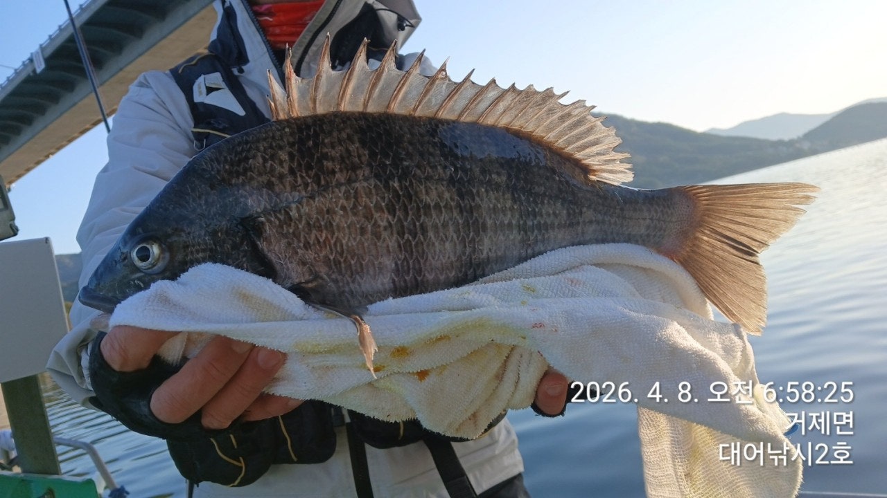 ����ڰ� �ø� �̹���