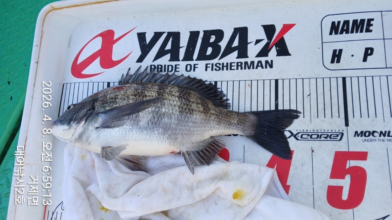 ����ڰ� �ø� �̹���