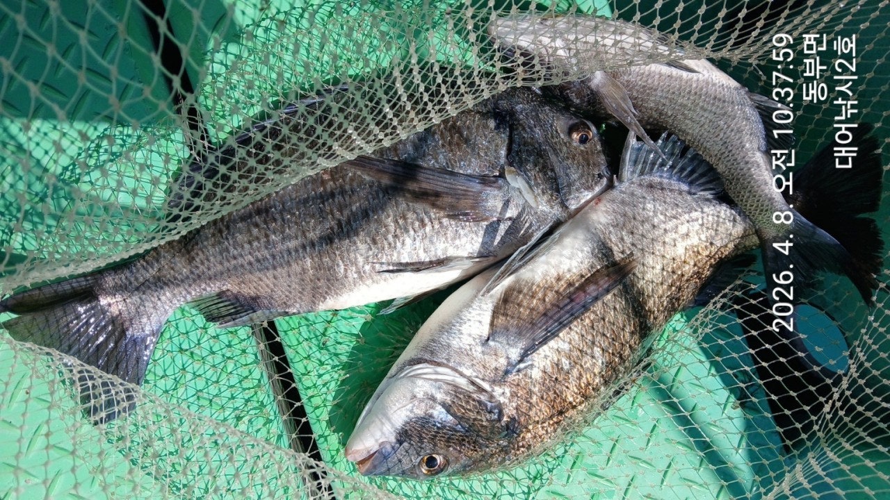 ����ڰ� �ø� �̹���