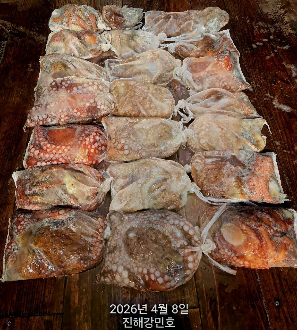 ����ڰ� �ø� �̹���